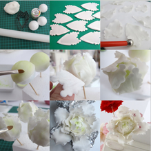 Ladda upp bild till gallerivisning, 7 St/ Pack Gumpaste Fondant Utstickare Pionblomma-B