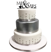 Ladda upp bild till gallerivisning, Sugarflair Pastafärger Flisa Sugarflair Antique Silver- Satin Paste Food Color 25g