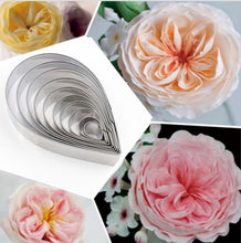 Ladda upp bild till gallerivisning, 10 St/Pack Utstickare Gumpaste Fondant Blomma Austin Rose