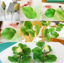 Ladda upp bild till gallerivisning, 4 St /Pack Rosblad Utstickare 4 PCS/Set Fondant Gumpaste Orchid Rose Leaves
